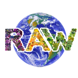 Marketing Branding & Web Design for Planet Raw by Juliano Brotman
